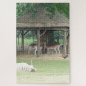 Zoo Puzzle: Deerpark Legpuzzel (Verticaal)