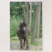Zoo Puzzle: Fijne olifant Legpuzzel (Verticaal)