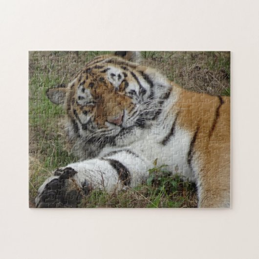 Zoo Puzzle: Mooie tijger Legpuzzel (Horizontaal)