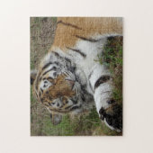 Zoo Puzzle: Mooie tijger Legpuzzel (Verticaal)