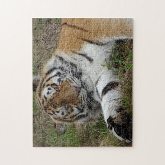 Zoo Puzzle: Mooie tijger Legpuzzel (Verticaal)