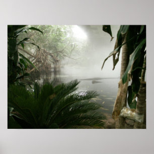 Zoo Rainforest Exhibit Poster
