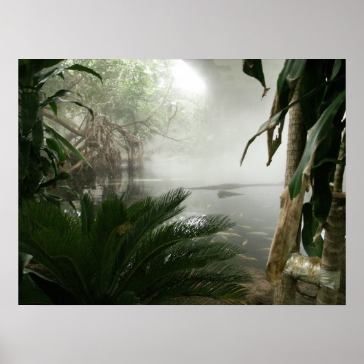 Zoo Rainforest Exhibit Poster (Voorkant)