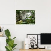 Zoo Rainforest Exhibit Poster (Thuiskantoor)