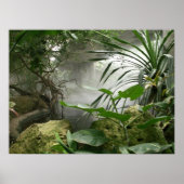 Zoo Rainforest Exhibit Poster (Voorkant)