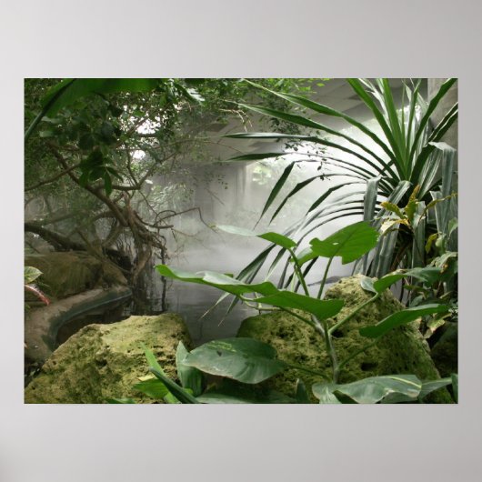 Zoo Rainforest Exhibit Poster (Voorkant)