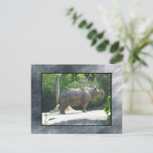 zoo rino briefkaart (Staand voorkant)