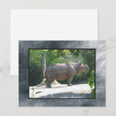 zoo rino briefkaart (Voorkant / Achterkant)