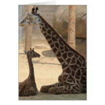 Zoo Series, Baby Giraffe and Mam