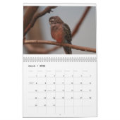 Zoödieren Kalender (Mar 2026)