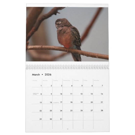 Zoödieren Kalender (Mar 2026)