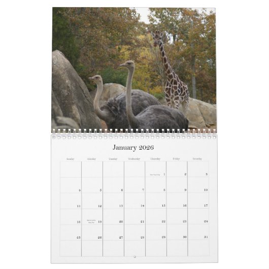 Zoödieren Kalender (Jan 2026)