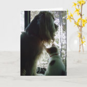 Zoogdag ***DAGER *** Kaart (Gele Bloem)