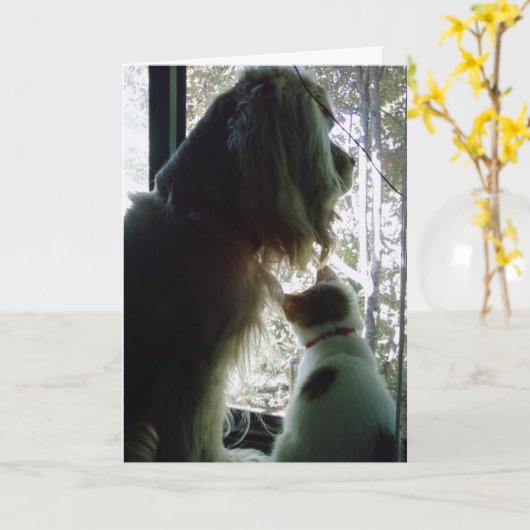 Zoogdag ***DAGER *** Kaart (Gele Bloem)