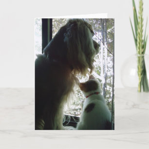 Zoogdag ***DAGER *** Kaart