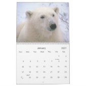 Zoogdieren 2 Wildlife Kalender 2021 (Jan 2027)