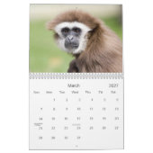 Zoogdieren 2 Wildlife Kalender 2021 (Mar 2027)