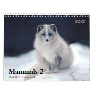 Zoogdieren 2 Wildlife Kalender 2021