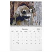 Zoogdieren 2 Wildlife Kalender 2021 (Feb 2026)