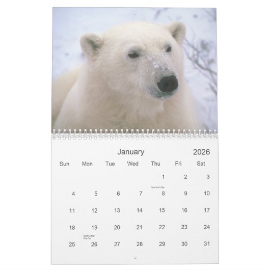 Zoogdieren 2 Wildlife Kalender 2021 (Jan 2026)