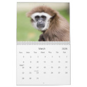 Zoogdieren 2 Wildlife Kalender 2021 (Mar 2026)