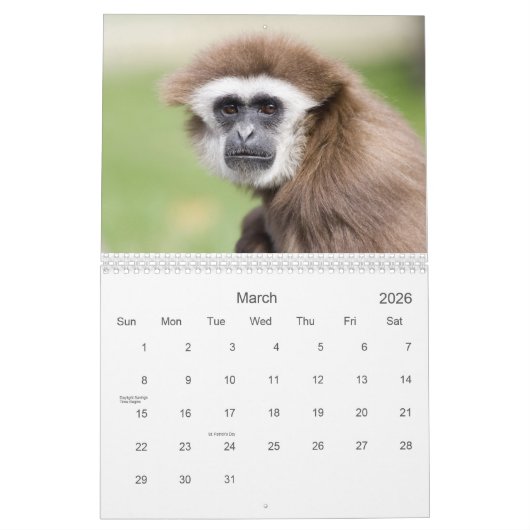 Zoogdieren 2 Wildlife Kalender 2021 (Mar 2026)
