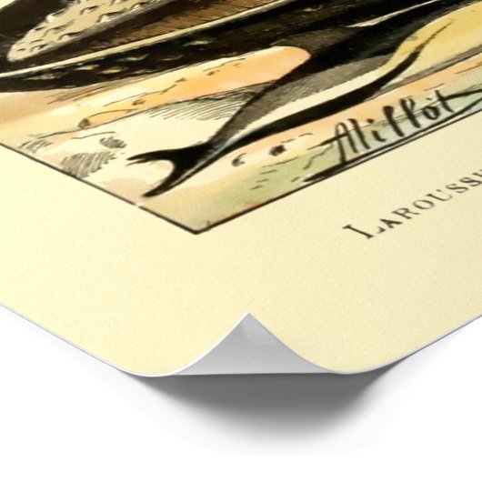  zoogdieren door Adolphe Millot Poster (Hoek)