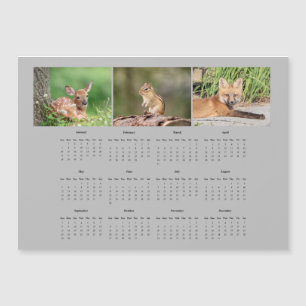 Zoogdieren met een volledige jaarkalender 2024