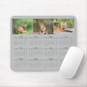 Zoogdieren met een volledige jaarkalender 2025 muismat (Met muis)