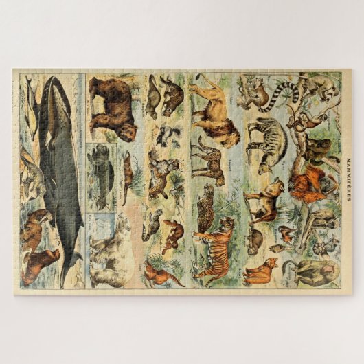  zoogdieren Oude illustratie Legpuzzel (Horizontaal)