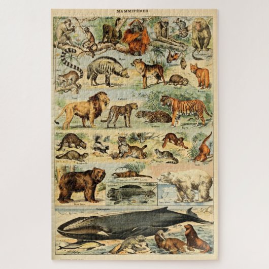  zoogdieren Oude illustratie Legpuzzel (Verticaal)
