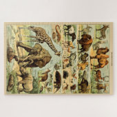  zoogdieren Oude illustratie Legpuzzel (Horizontaal)