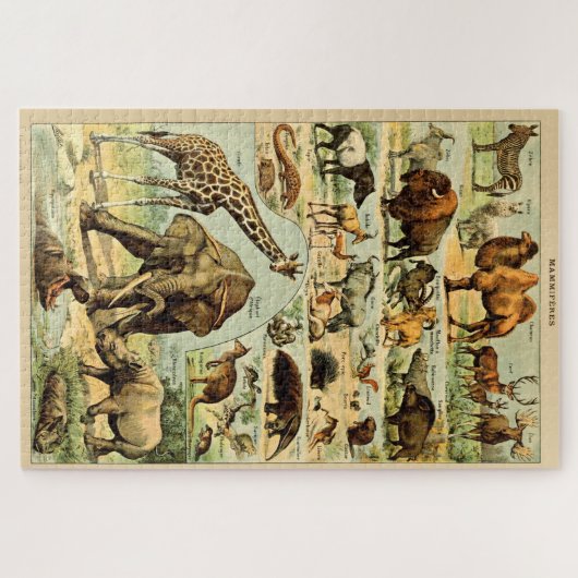  zoogdieren Oude illustratie Legpuzzel (Horizontaal)