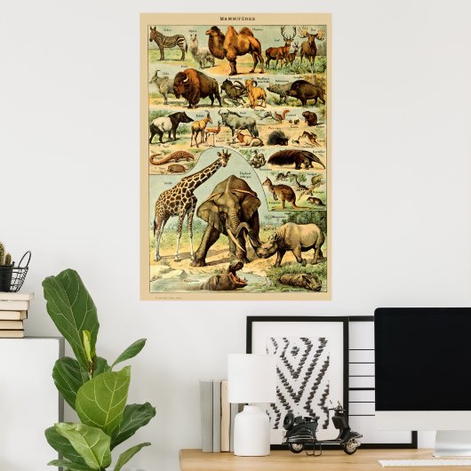  zoogdieren Oude illustratie Poster (Thuiskantoor)