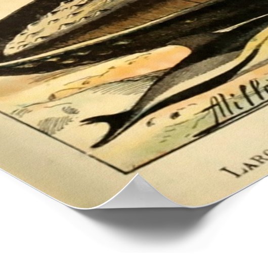  zoogdieren Oude illustratie Poster (Hoek)