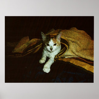 Zooitje als een kit poster