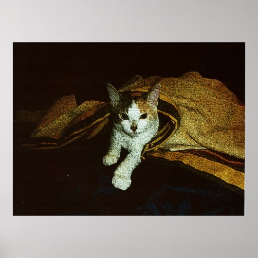 Zooitje als een kit poster (Voorkant)