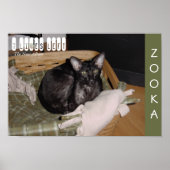 Zooka 2007 poster (Voorkant)