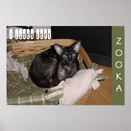 Zooka 2007 poster (Voorkant)