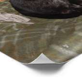 Zooka 2007 poster (Hoek)