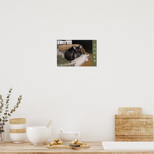 Zooka 2007 poster (Keuken)