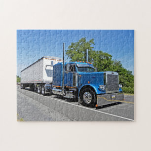 Zook's 379 Puzzle Legpuzzel