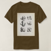 Zoologie van de reis van HMS Beagle 1840 Fossi T-shirt (Design voorkant)