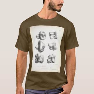Zoologie van de reis van HMS Beagle 1840 Fossi T-shirt