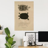 zoölogie van India 1932 thuji terrapin Poster (Thuiskantoor)