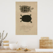 zoölogie van India 1932 thuji terrapin Poster (Keuken)