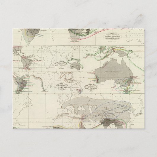 Zoologische geografie briefkaart (Voorkant)