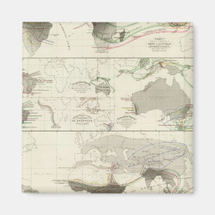 Zoologische geografie magneet
