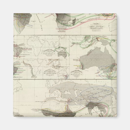Zoologische geografie magneet (Voorkant)