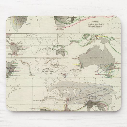 Zoologische geografie muismat (Voorkant)